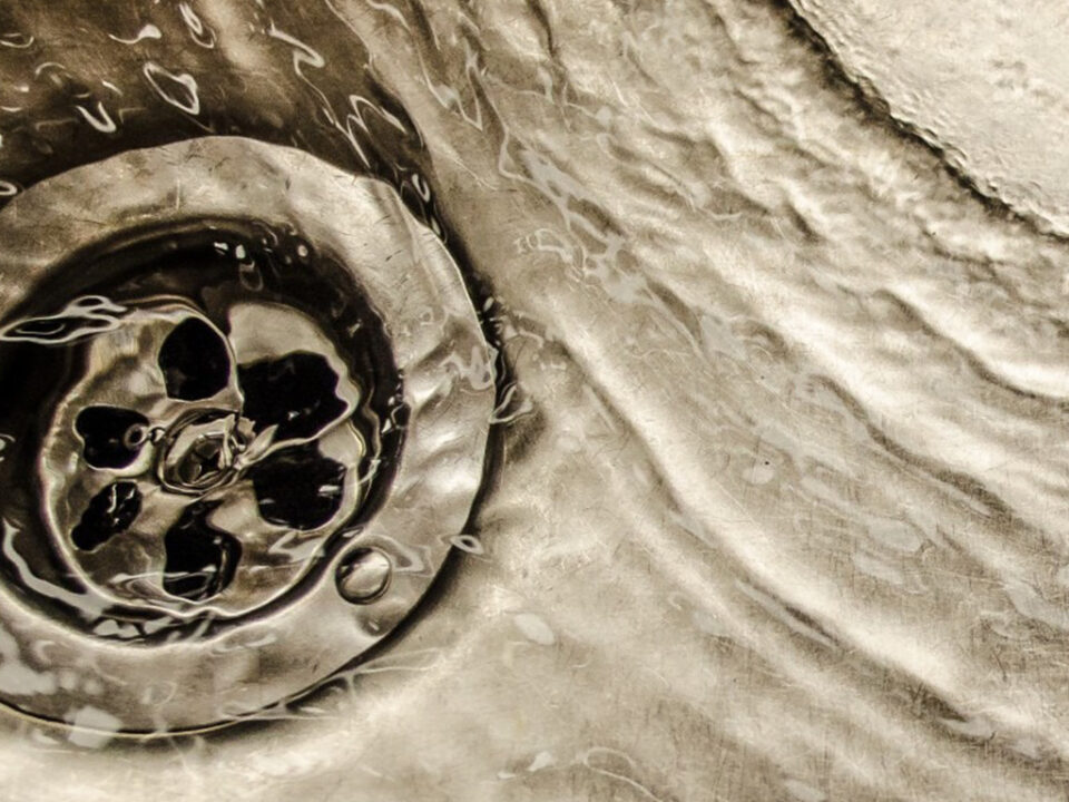 Le siphon: Un foyer de micro-organismes